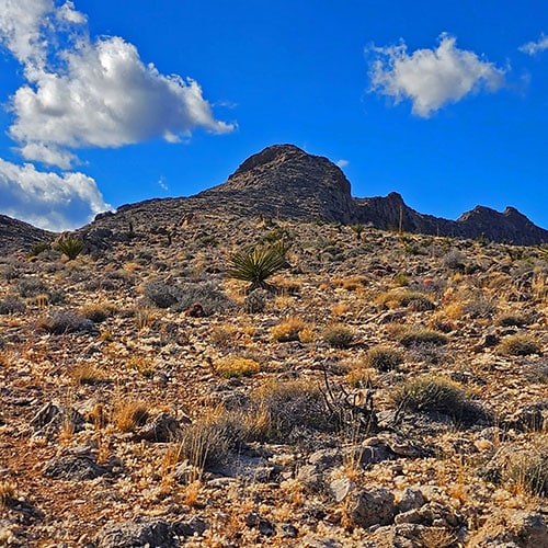 Gray Cap Ridge Southeast Summit | La Madre Mountains Wilderness, Nevada