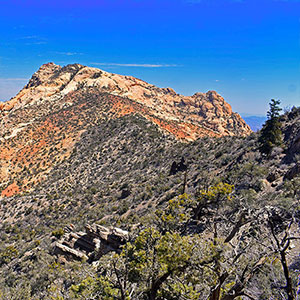 Mt Wilson Summit Saddle from Lovell Canyon, Nevada