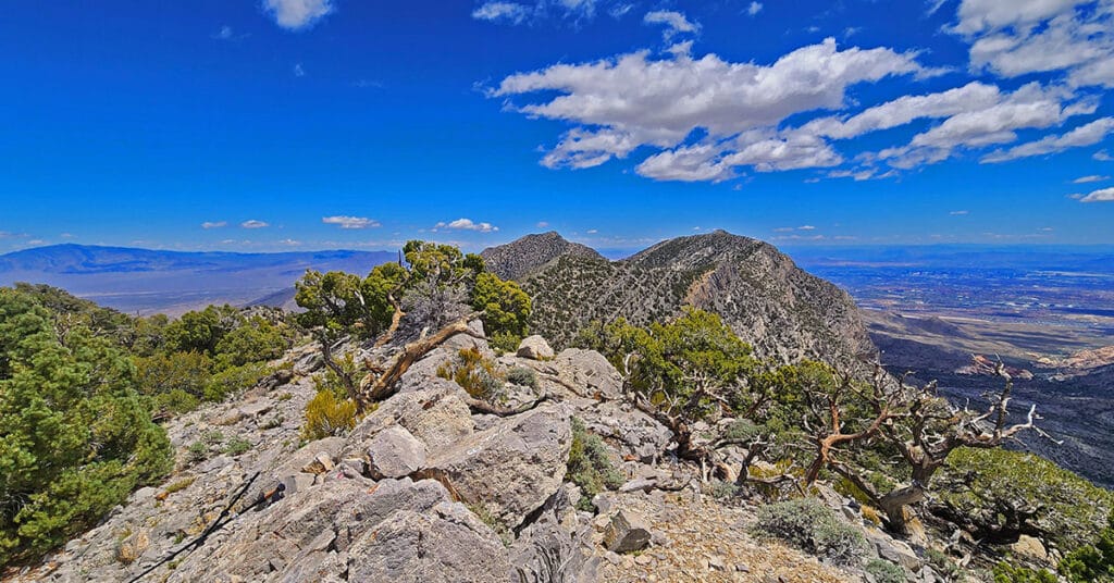 El Bastardo Peak | La Madre Mountains Wilderness, Nevada