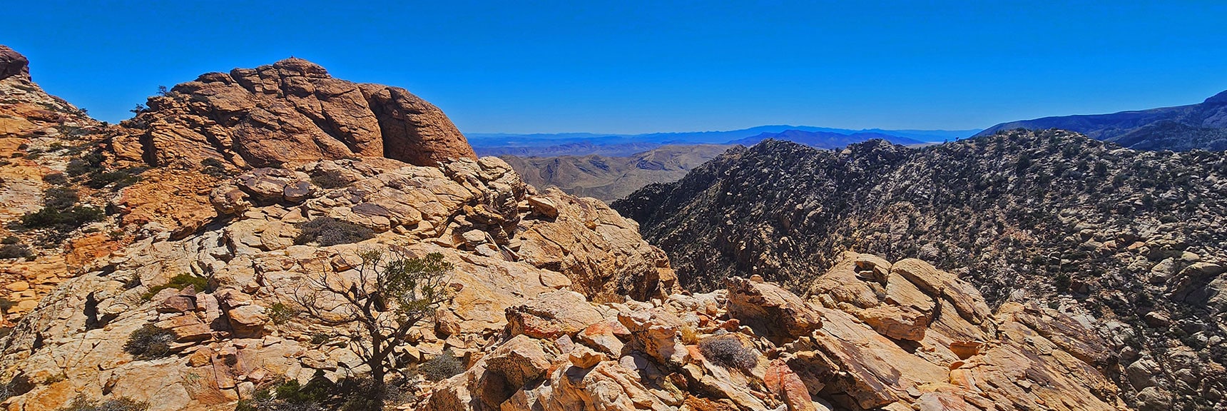 View Down Toward Gully Opening Between Hollow Rock & South Peaks | Hollow Rock & South Peaks Loop | Rainbow Mts. Wilderness, Nevada