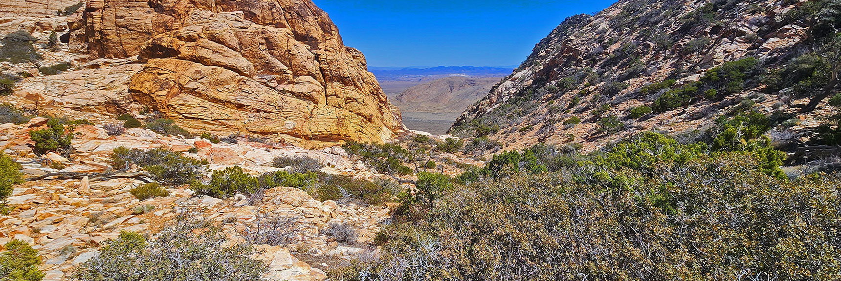 View Down Canyon Between Peaks from its Summit Saddle | Hollow Rock & South Peaks Loop | Rainbow Mts. Wilderness, Nevada