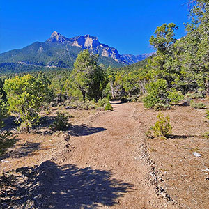 Sawmill Loop | Sawmill Trailhead | Lee Canyon, Nevada