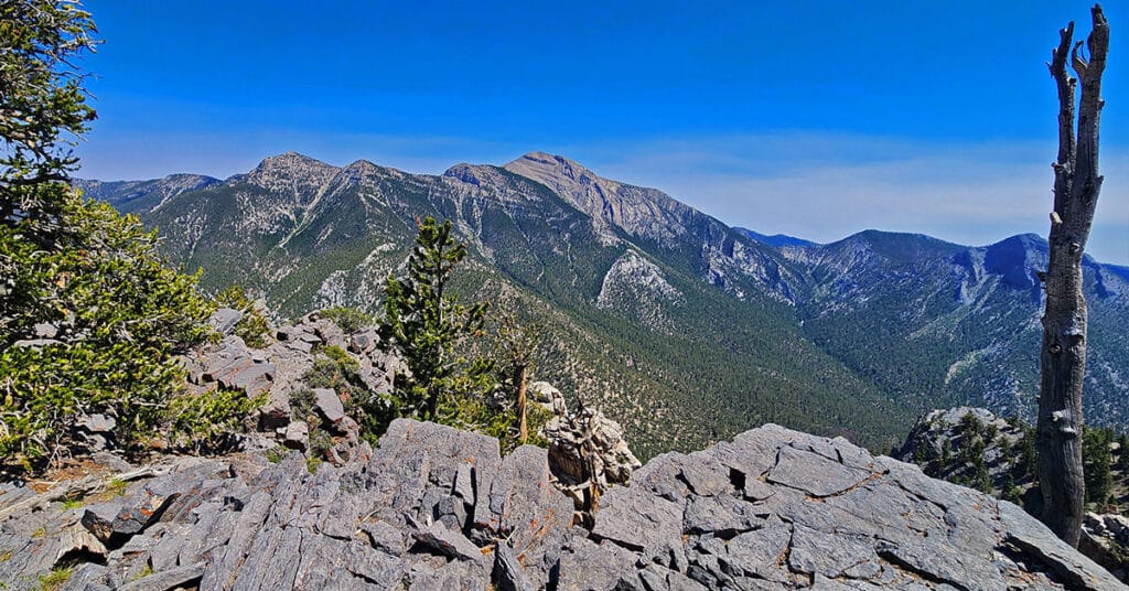 Amargosa Overlook | Mt. Charleston Wilderness | Spring Mountains, Nevada
