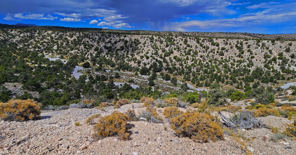 Blue Tree Loop | Sawmill Trailhead | Lee Canyon, Nevada
