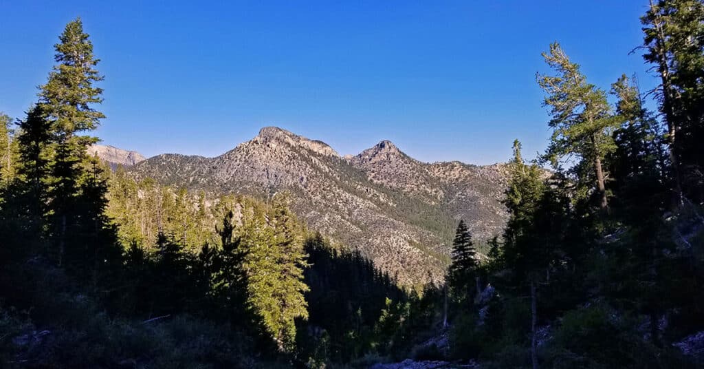 Sisters South to the Sisters North | Mt. Charleston Wilderness | Spring Mountains, Nevada