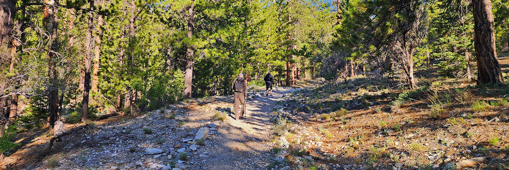 Watch for This Rock-Lined Right-Branching Trail at Upper Picnic Area | Sisters South to the Sisters North | Mt. Charleston Wilderness | Spring Mountains, Nevada