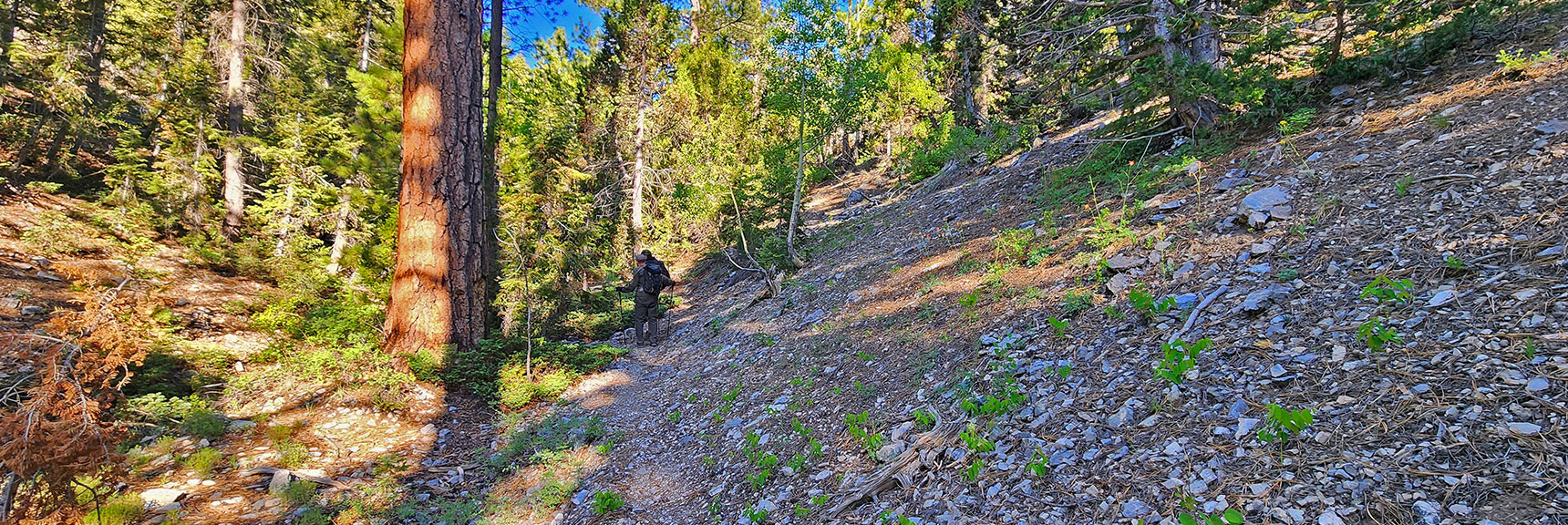 Trail Narrows, Soon to Climb Ridge to the Left | Sisters South to the Sisters North | Mt. Charleston Wilderness | Spring Mountains, Nevada