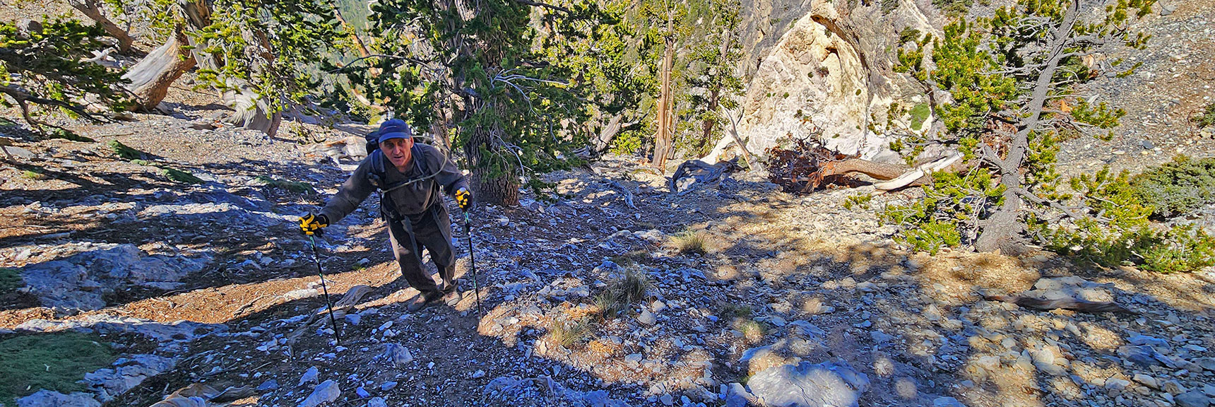 View Back Down That Steep Ascent to the Summit Saddle | Sisters South to the Sisters North | Mt. Charleston Wilderness | Spring Mountains, Nevada