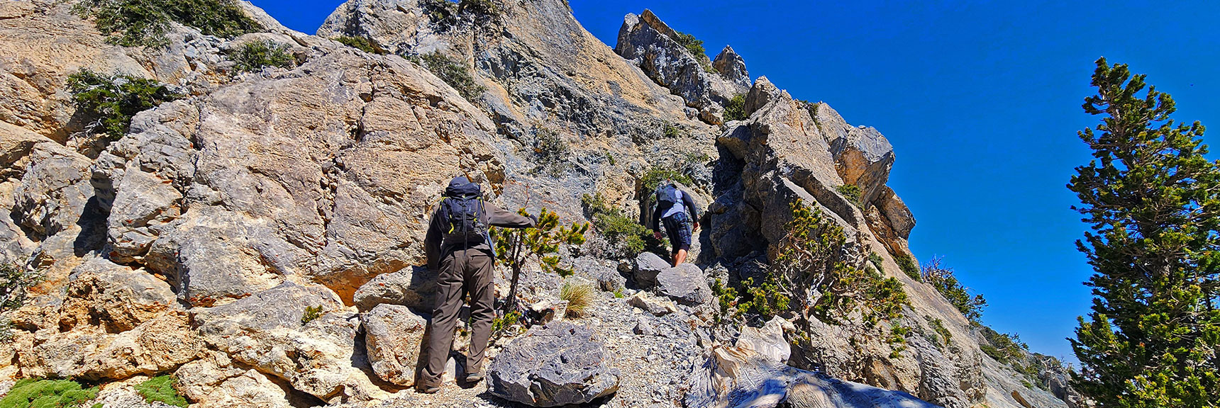 Turn Left on Summit Saddle, Ascend Class 3-4 Crack to Western Summit | Sisters South to the Sisters North | Mt. Charleston Wilderness | Spring Mountains, Nevada
