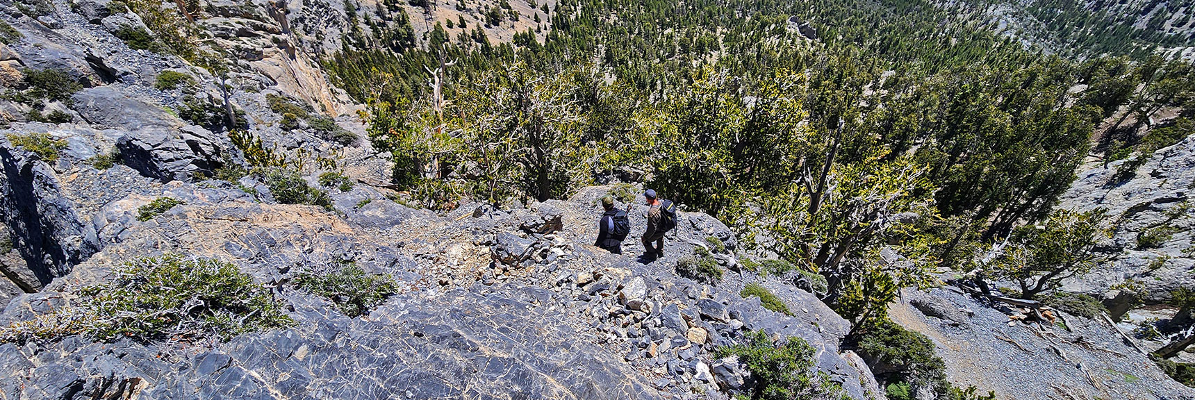 Steep Rock Scramble Descent from S Sister to East Side of Saddle Below | Sisters South to the Sisters North | Mt. Charleston Wilderness | Spring Mountains, Nevada