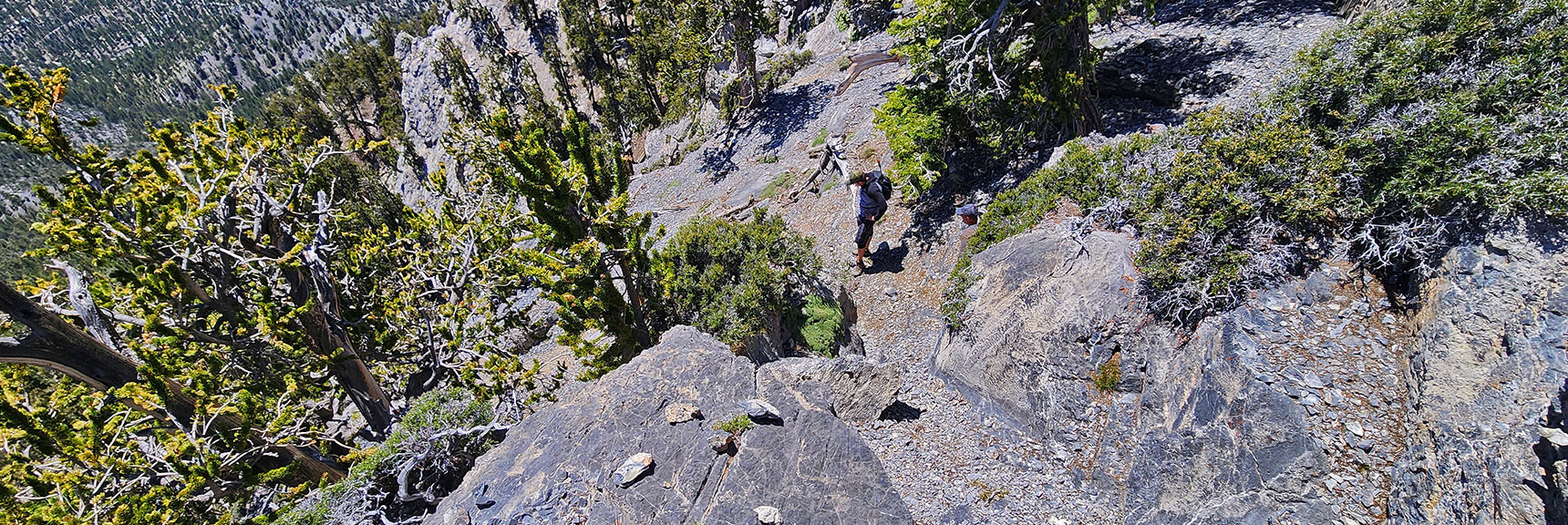 Arrive on E Side of Saddle, Turn Left to Continue Toward North Sister. | Sisters South to the Sisters North | Mt. Charleston Wilderness | Spring Mountains, Nevada