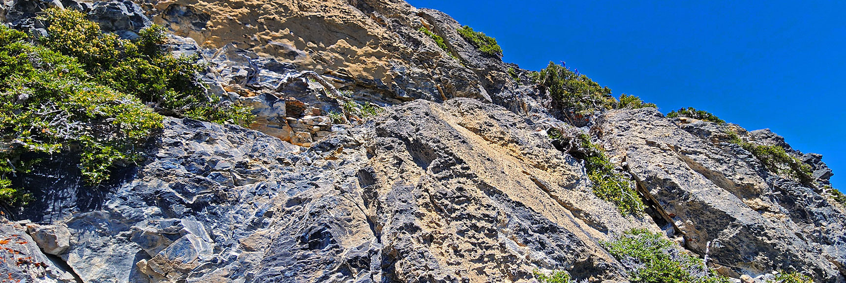 Traverse Saddle by Navigating Narrow Ledges Along Side of Cliff | Sisters South to the Sisters North | Mt. Charleston Wilderness | Spring Mountains, Nevada