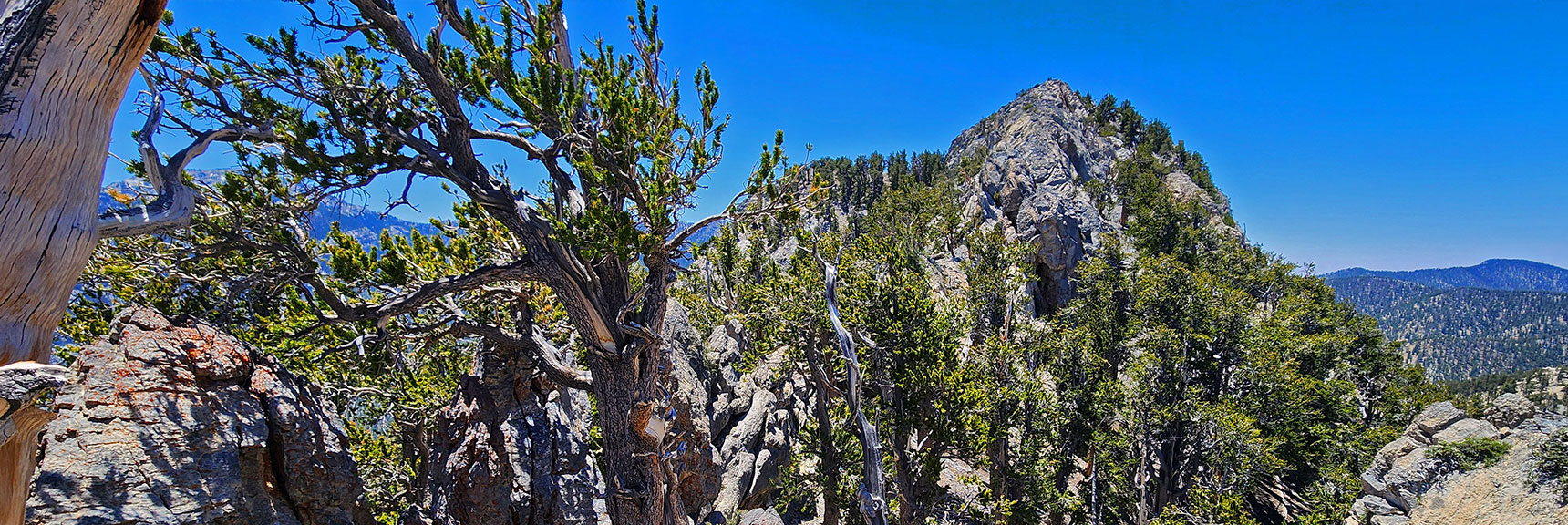 Route Will Soon Descend to West (Left) Side of Saddle, Ascend North Sister West Slope | Sisters South to the Sisters North | Mt. Charleston Wilderness | Spring Mountains, Nevada