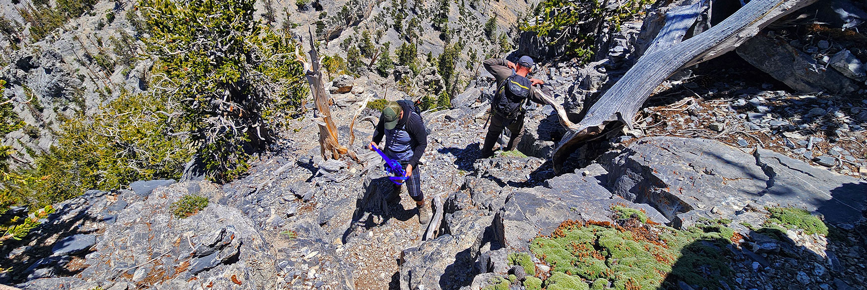 Descending Steep Class 3-4 Scramble to West Side of Saddle | Sisters South to the Sisters North | Mt. Charleston Wilderness | Spring Mountains, Nevada