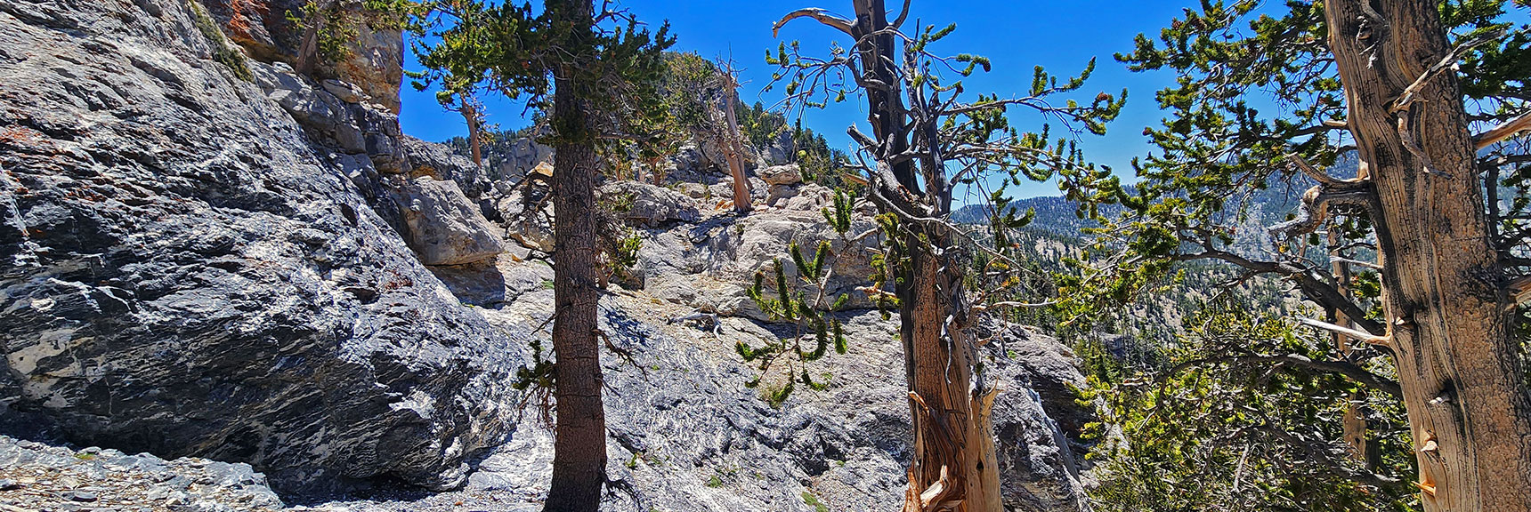 View Back Across Saddle Toward South Sister | Sisters South to the Sisters North | Mt. Charleston Wilderness | Spring Mountains, Nevada