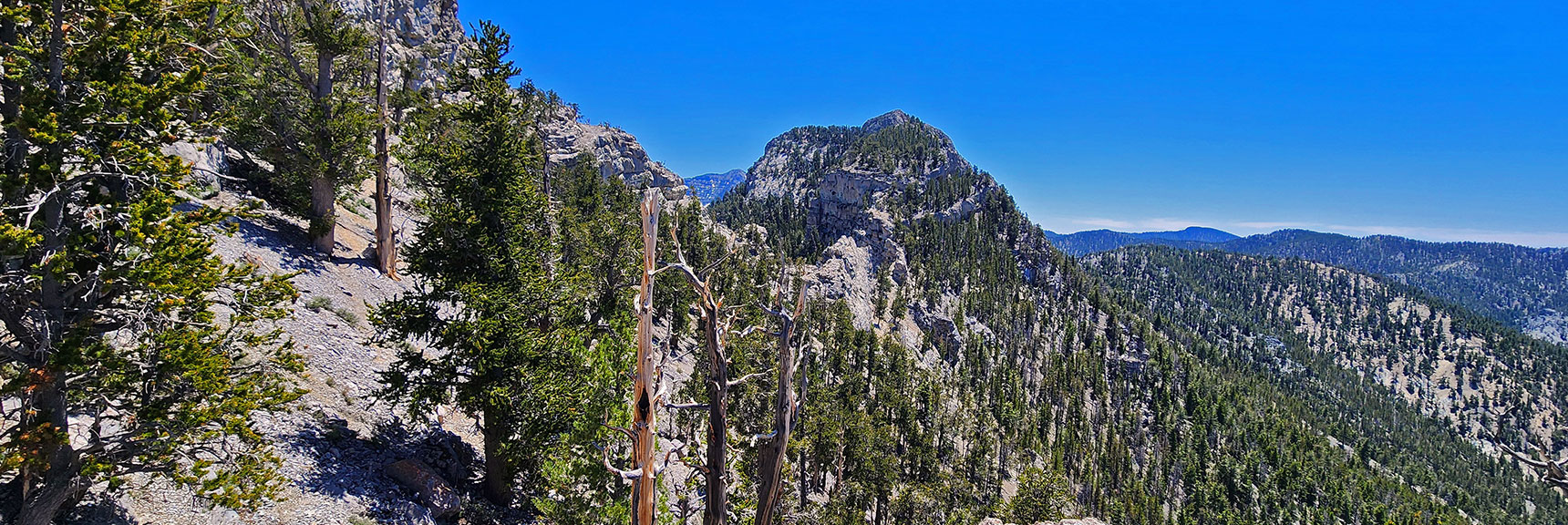 View Back Across Saddle to South Sister | Sisters South to the Sisters North | Mt. Charleston Wilderness | Spring Mountains, Nevada