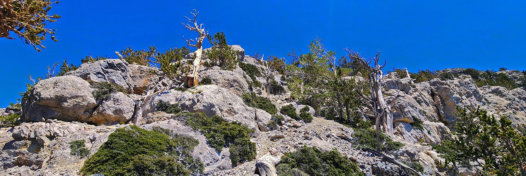 Navigate Along South Side of North Sister Summit, Circle, Ascend East Side | Sisters South to the Sisters North | Mt. Charleston Wilderness | Spring Mountains, Nevada