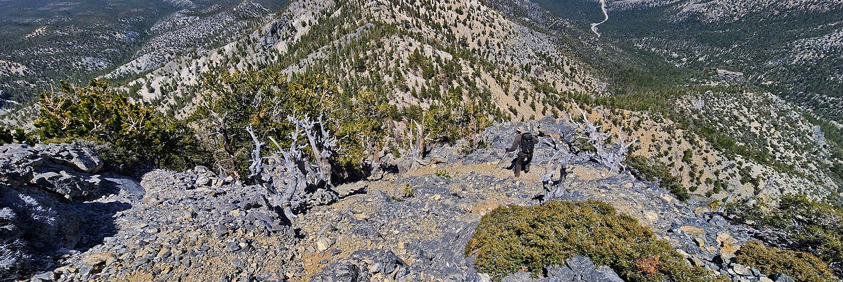 Begin Steep "Devil's Plunge" Descent Down North Slope of North Sister | Sisters South to the Sisters North | Mt. Charleston Wilderness | Spring Mountains, Nevada