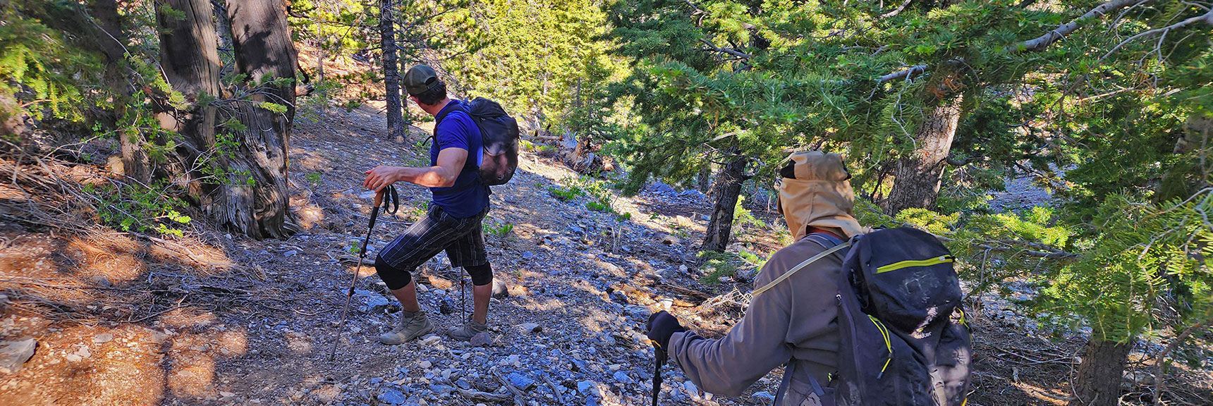 Descending Less Steep Slope from Saddle Below North Sister Toward Lee Canyon Rd. | Sisters South to the Sisters North | Mt. Charleston Wilderness | Spring Mountains, Nevada