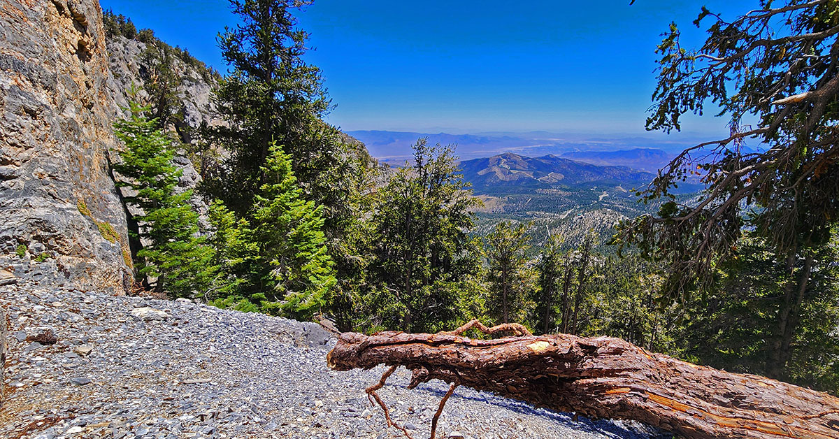 Deer Creek North Fork Canyon | Mt Charleston Wilderness Nevada