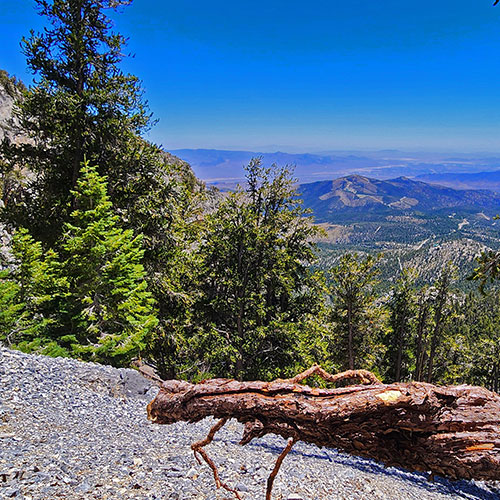 Deer Creek North Fork Canyon | Mt Charleston Wilderness, Nevada