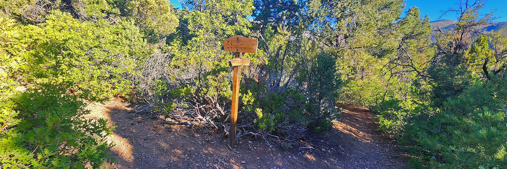 Right Turn onto Lovell Canyon Loop Toward Canyon Wash Below | Wilson Ridge / Sexton Ridge Circuit | Lovell Canyon, Nevada
