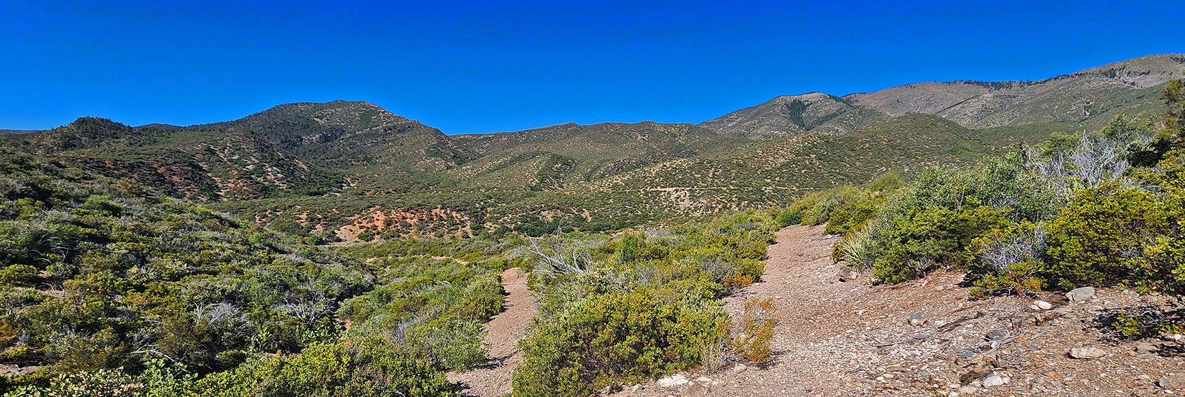 Ridge Ascent Begins at This U-Turn on Griffith Shadow Loop Across Canyon. | Wilson Ridge / Sexton Ridge Circuit | Lovell Canyon, Nevada