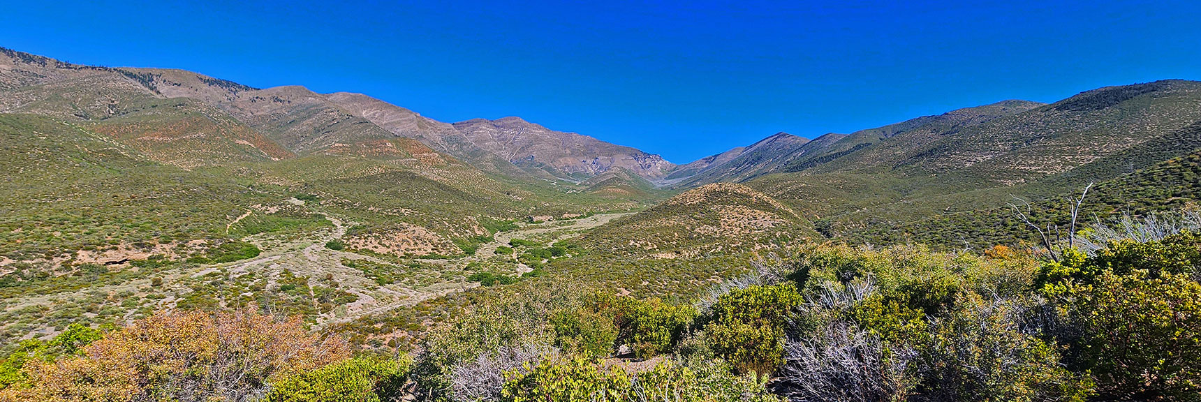 View Back Down Ascent Ridge to Upper Canyon While Weaving Through Brush | Wilson Ridge / Sexton Ridge Circuit | Lovell Canyon, Nevada