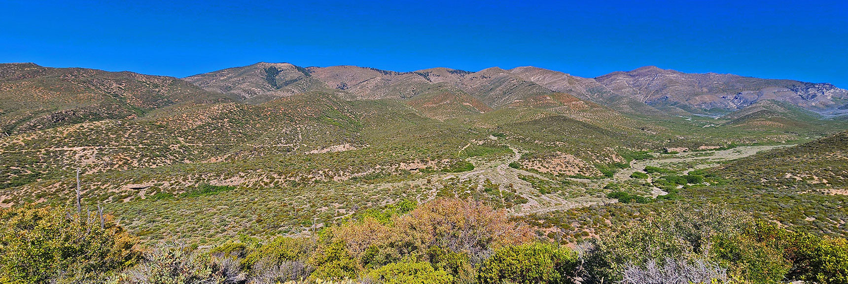 Full View of Sexton Ridge Descending to Left of Griffith Peak Across Canyon | Wilson Ridge / Sexton Ridge Circuit | Lovell Canyon, Nevada