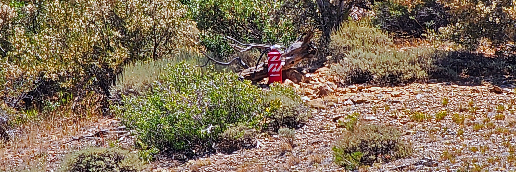 Lonely, Abandoned Fire Extinguisher on Wilson Ridgeline | Wilson Ridge / Sexton Ridge Circuit | Lovell Canyon, Nevada