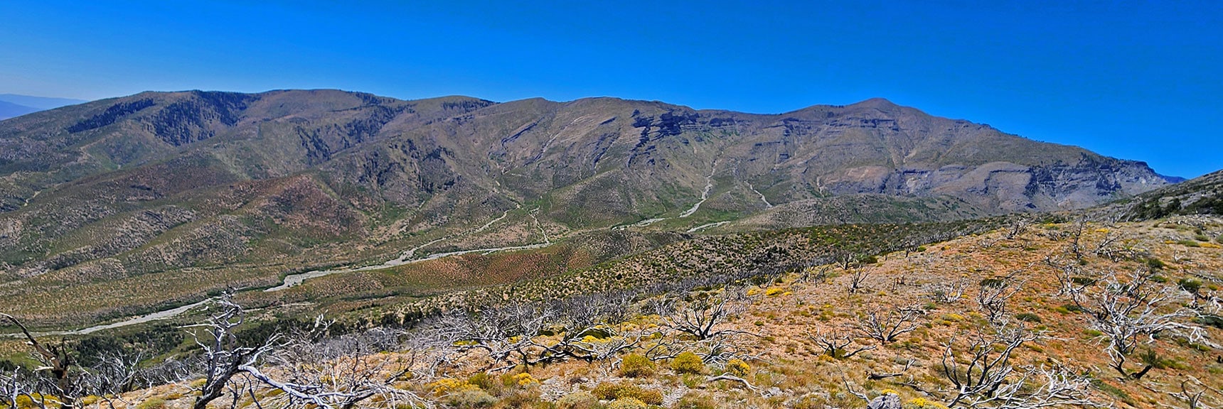 View Across to Griffith Peak & Sexton Ridgeline: Later Descent Route. | Wilson Ridge / Sexton Ridge Circuit | Lovell Canyon, Nevada