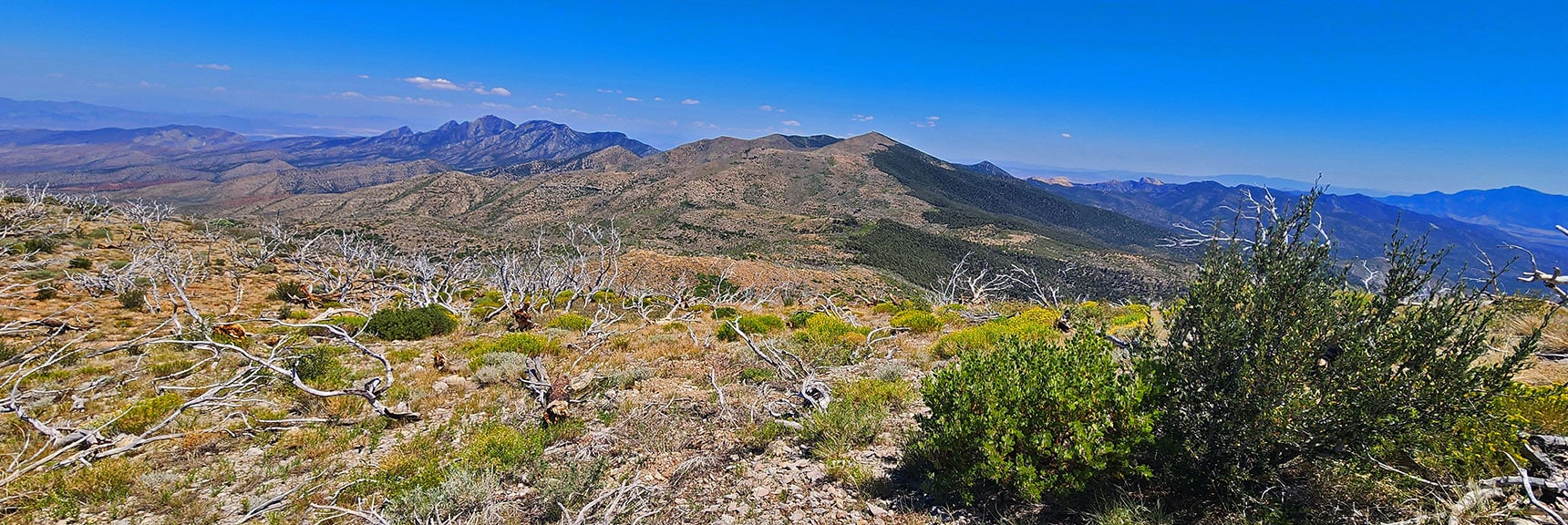 View Down Wilson Ridgeline to Its Southern High Point & La Madre Mts. | Wilson Ridge / Sexton Ridge Circuit | Lovell Canyon, Nevada