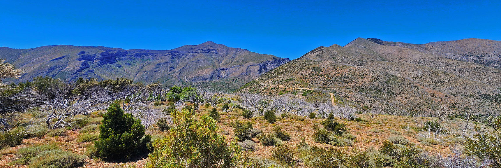 Approaching Harris Mt. Rd. Crossing, Griffith Peak Back Wilderness Trailhead | Wilson Ridge / Sexton Ridge Circuit | Lovell Canyon, Nevada