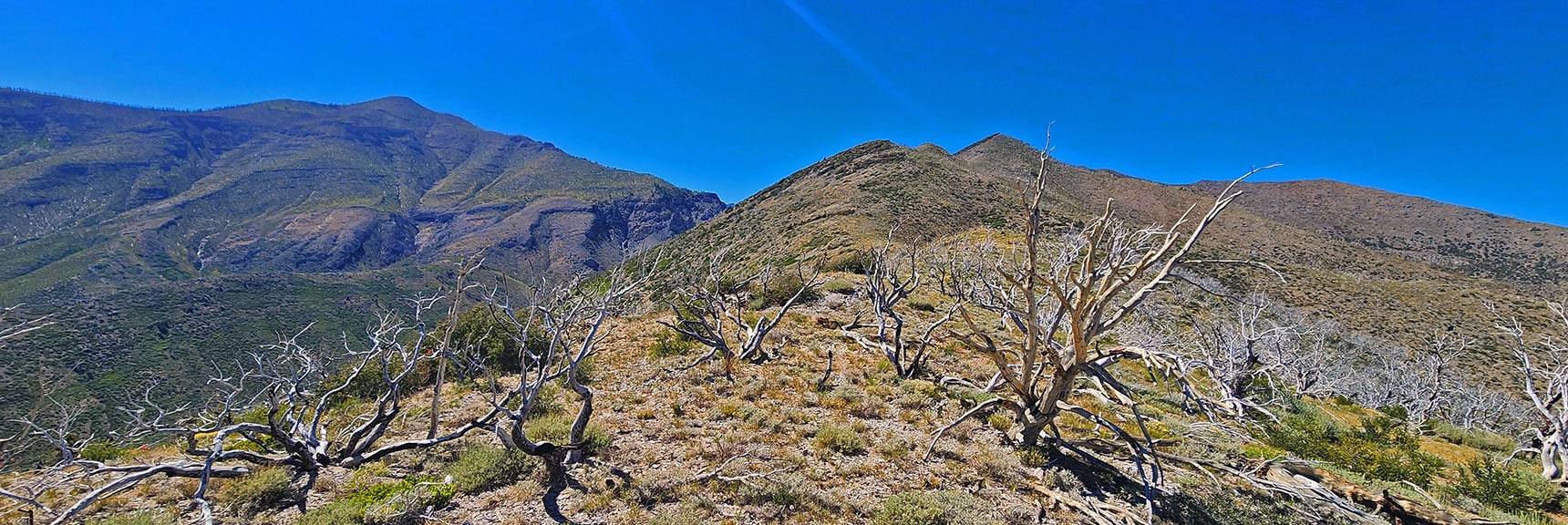 Continue Wilson Ridgeline to Harris Mt. Griffith Trail Route is Below to Left. | Wilson Ridge / Sexton Ridge Circuit | Lovell Canyon, Nevada