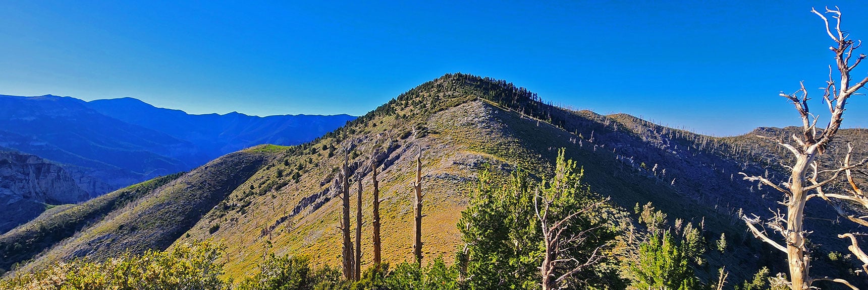 Harris Mt. Summit Now in View Beyond High Point. Alpine Terrain Begins! | Wilson Ridge / Sexton Ridge Circuit | Lovell Canyon, Nevada