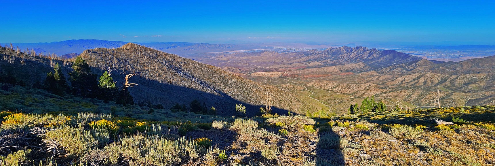 View Down Harris Springs Canyon from Just Below Harris Mt. Summit | Wilson Ridge / Sexton Ridge Circuit | Lovell Canyon, Nevada