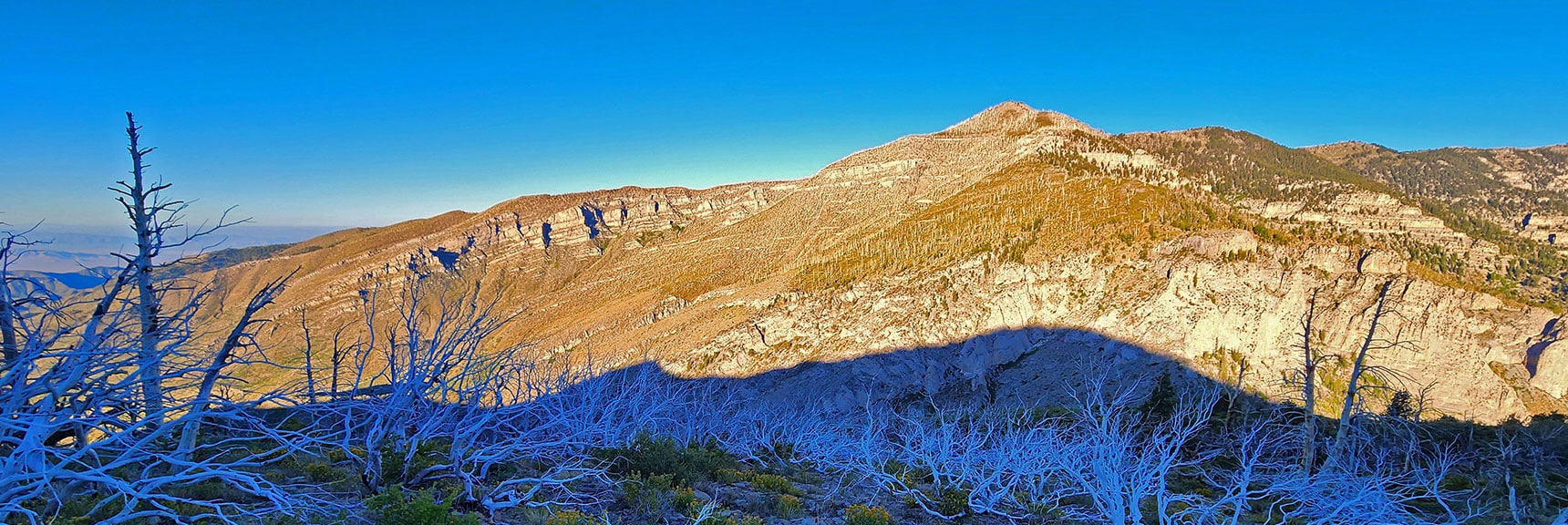Descend 1,000ft to Saddle, Then Ascend 2,000ft to Griffith Peak | Wilson Ridge / Sexton Ridge Circuit | Lovell Canyon, Nevada