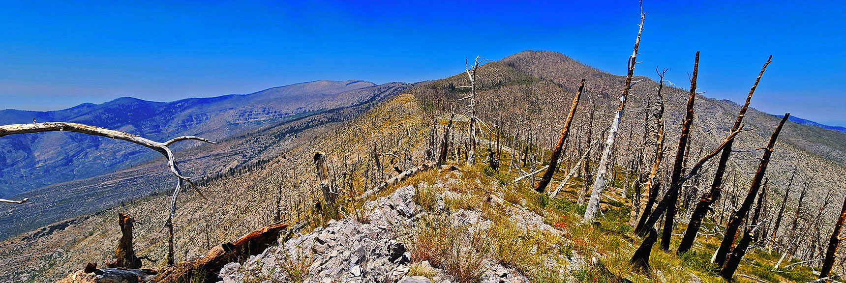 View Back Up 2 Huge Sexton Ridge Hills Toward Griffith Peak | Wilson Ridge / Sexton Ridge Circuit | Lovell Canyon, Nevada