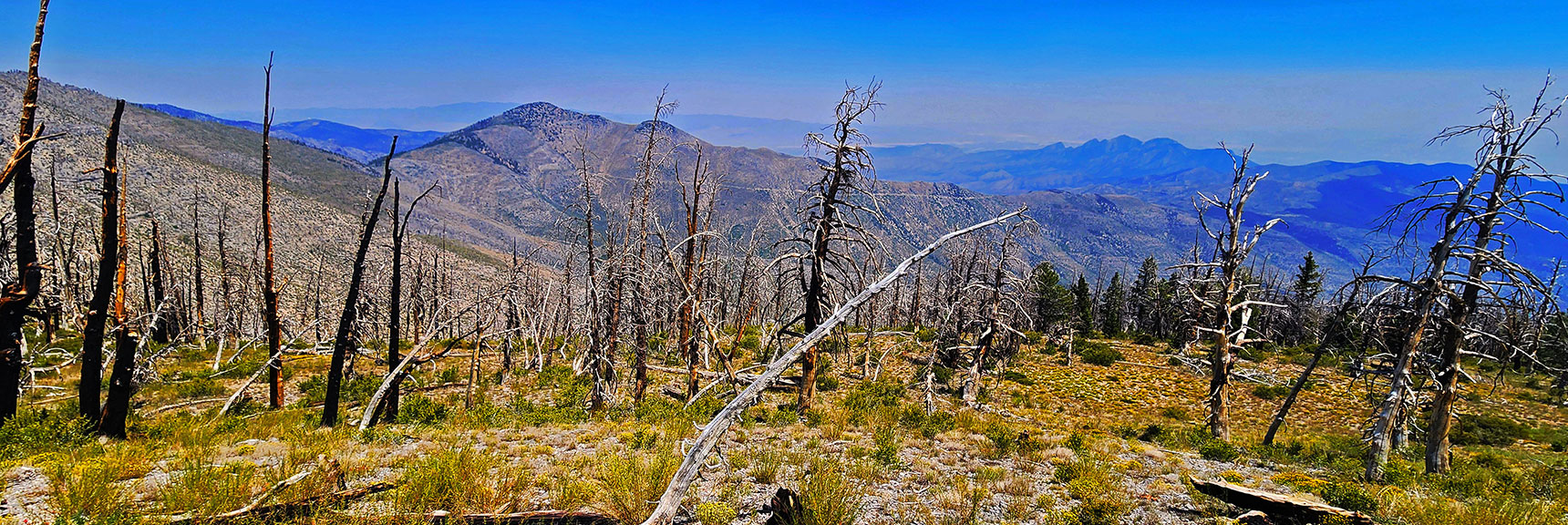 Harris Mt., Wilson Ridge, Griffith Back Wilderness Trail Seen Across Lovell Canyon | Wilson Ridge / Sexton Ridge Circuit | Lovell Canyon, Nevada