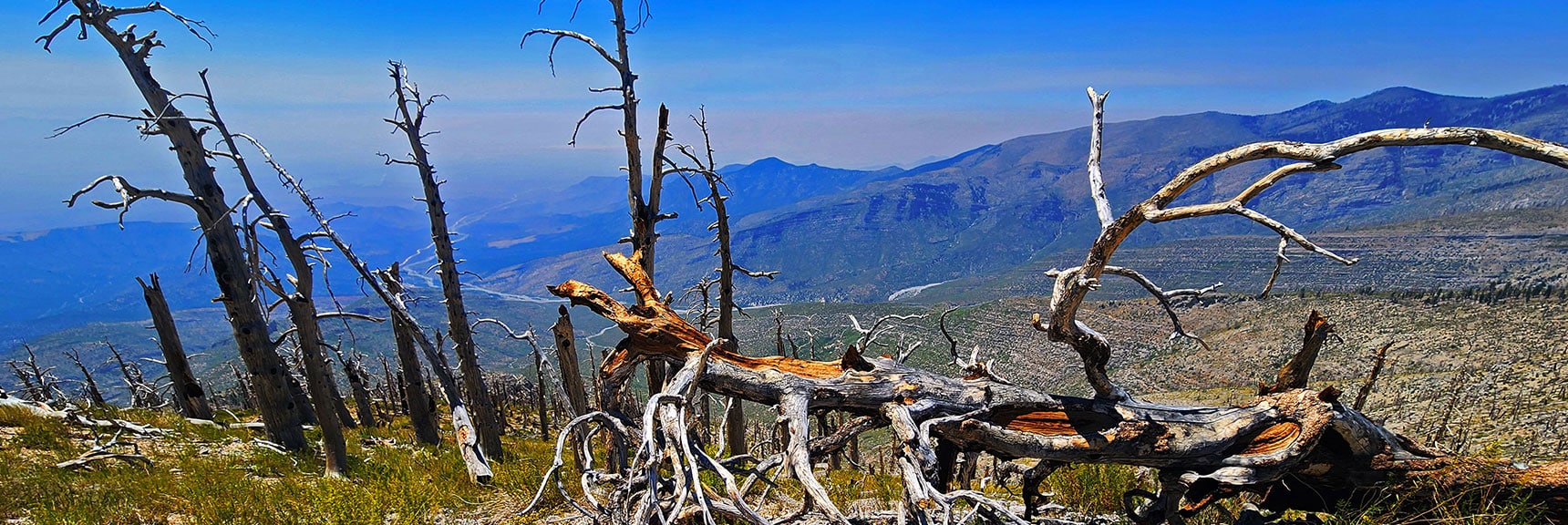 View Down Trout Canyon | Wilson Ridge / Sexton Ridge Circuit | Lovell Canyon, Nevada