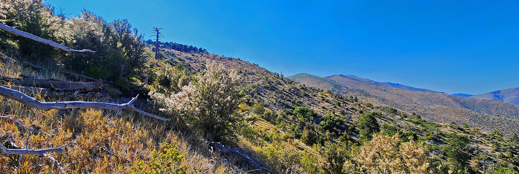 View Back Up to Sexton Ridge from Descent Ridge | Wilson Ridge / Sexton Ridge Circuit | Lovell Canyon, Nevada