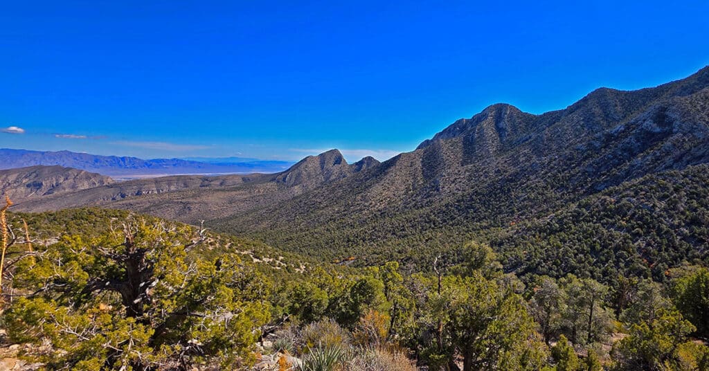 La Madre Mt North Ridge | La Madre Mountains Wilderness, Nevada