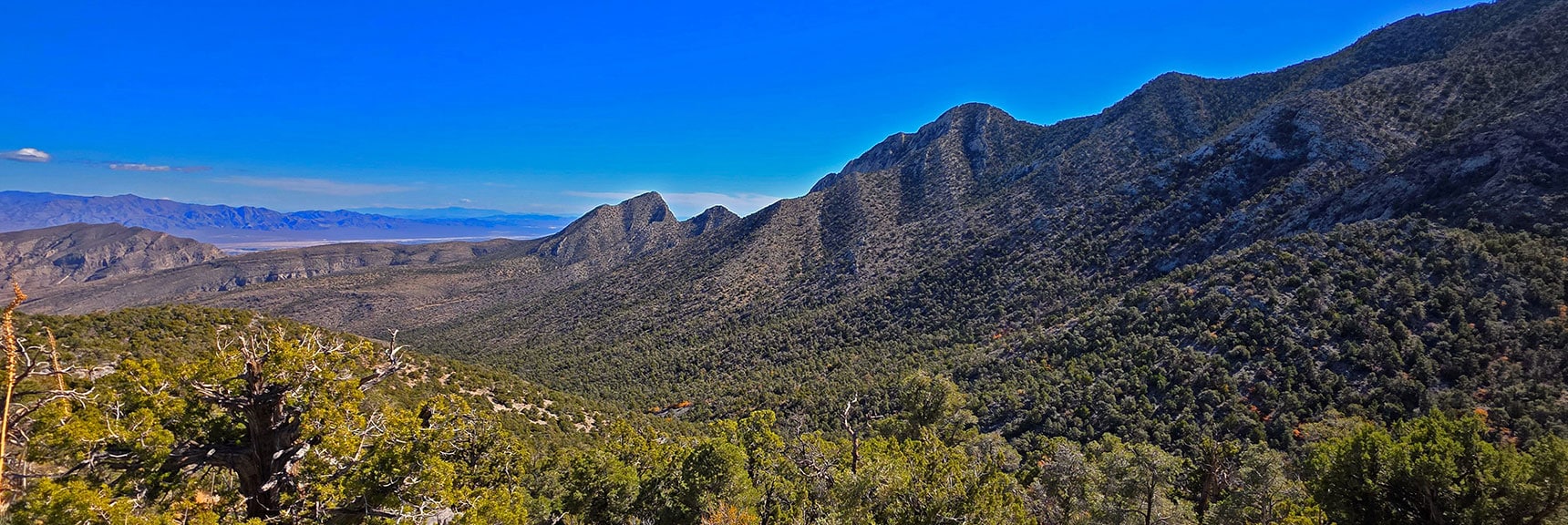 Enjoy unique views of the Eastern stretch of the upper La Madre Ridgeline. | La Madre Mt North Ridge | La Madre Mountains Wilderness, Nevada