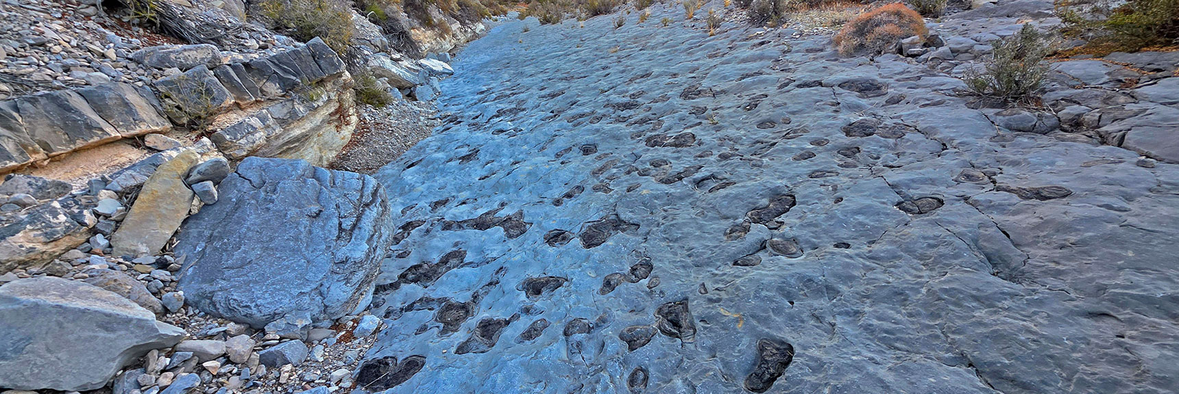 Imagine the Ancient Ocean Waters Above This 400+ Million Year Old Sea Bottom | La Madre Mt North Ridge | La Madre Mountains Wilderness, Nevada