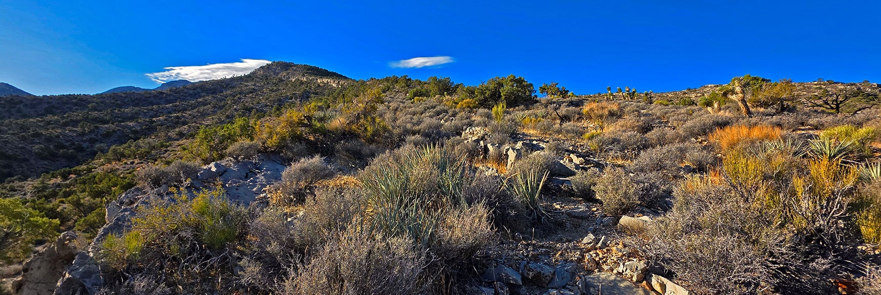 Now Ascending the Base of La Madre Mountain's North Ridge | La Madre Mt North Ridge | La Madre Mountains Wilderness, Nevada