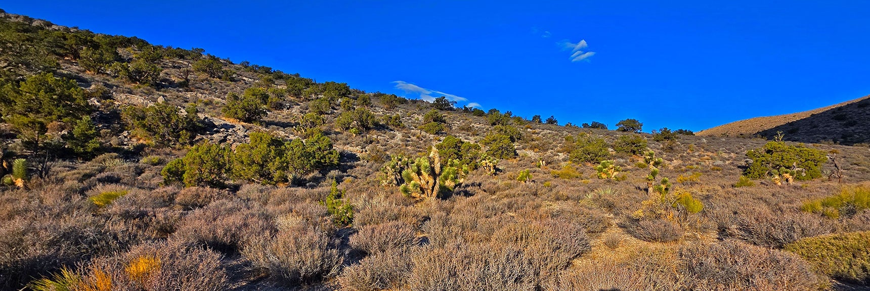 Just Left the Wash, Now Approaching the Base of the North Ridge | La Madre Mt North Ridge | La Madre Mountains Wilderness, Nevada