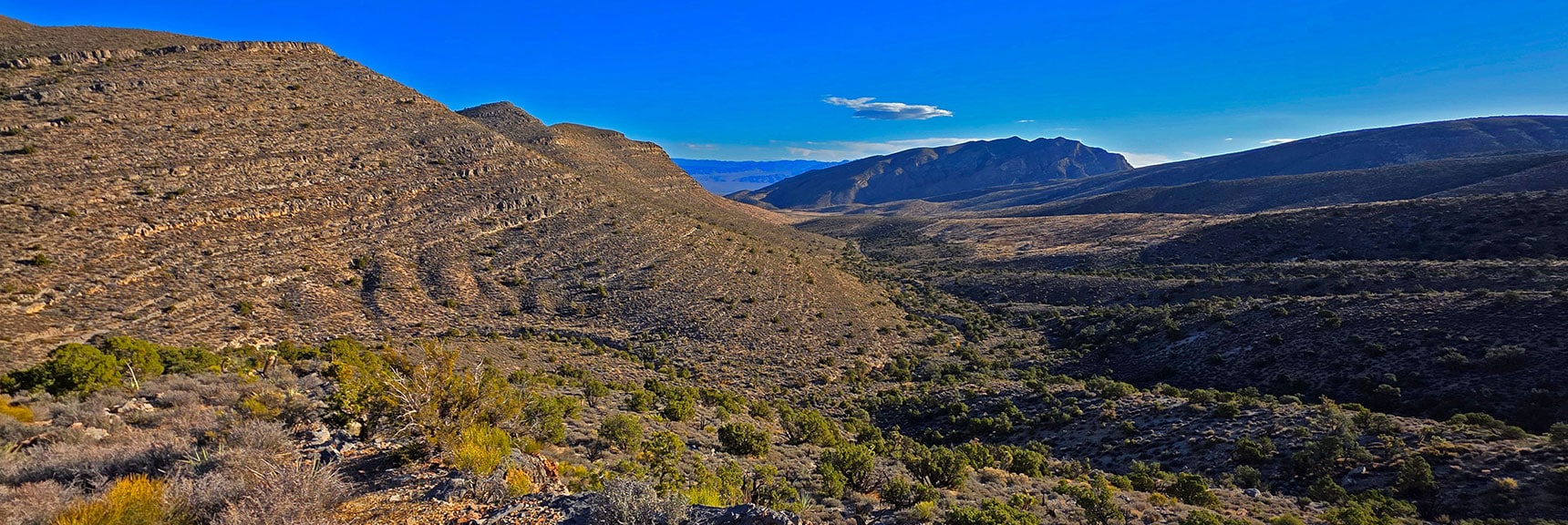 View Back Down the Baseline Wash Channel to Harris Springs Ridgeline Below | La Madre Mt North Ridge | La Madre Mountains Wilderness, Nevada