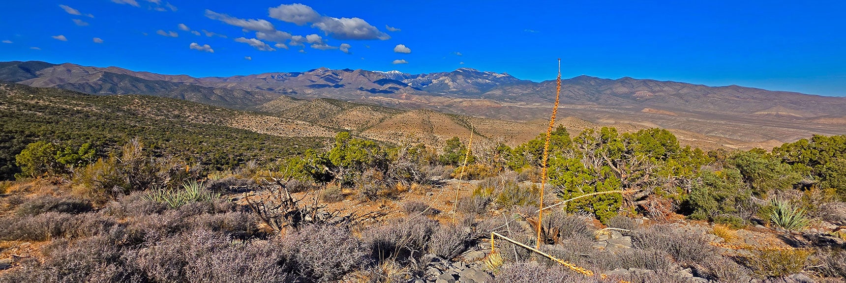 Mt. Charleston Wilderness Appears to the West | La Madre Mt North Ridge | La Madre Mountains Wilderness, Nevada