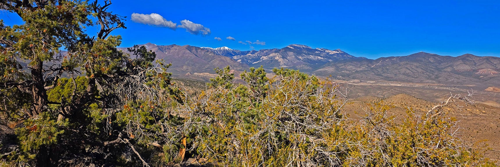 Continual Beautiful Views of the Charleston Wilderness During Ridgeline Ascent | La Madre Mt North Ridge | La Madre Mountains Wilderness, Nevada