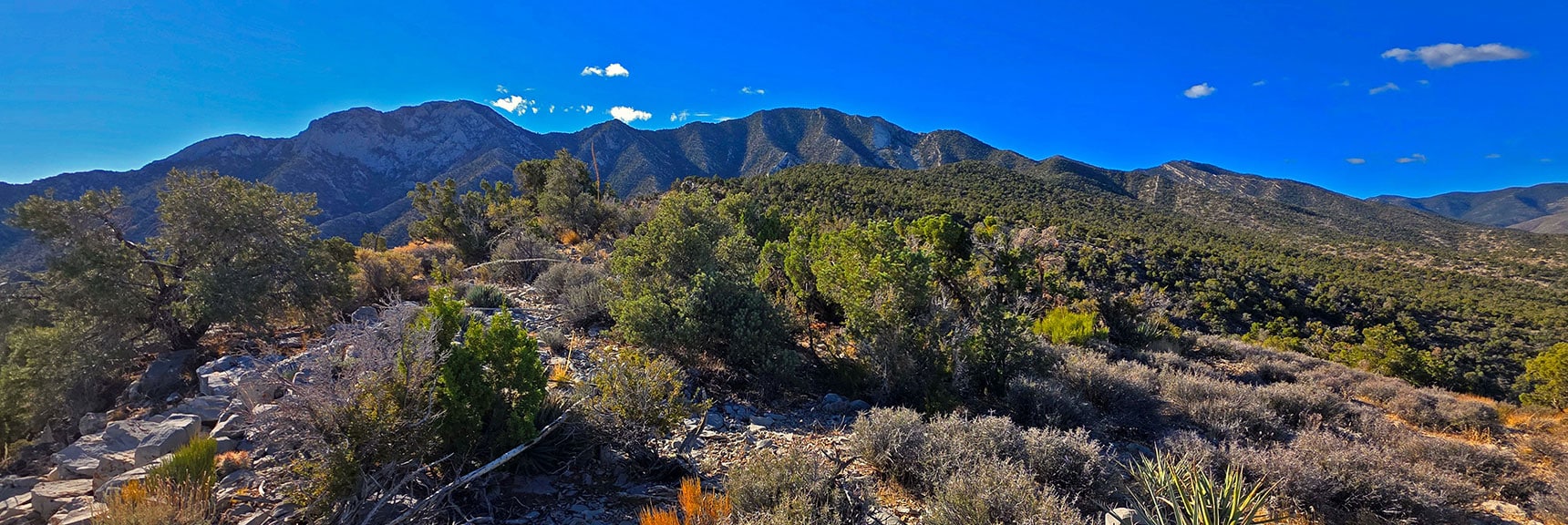 La Madre Mt. and Ridgeline Come into View Ahead | La Madre Mt North Ridge | La Madre Mountains Wilderness, Nevada